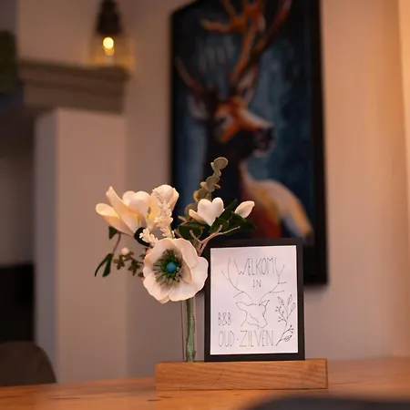 Bed & Breakfast Oud-zilven