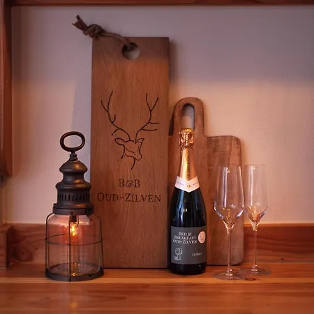 Oud-zilven Bed & Breakfast *