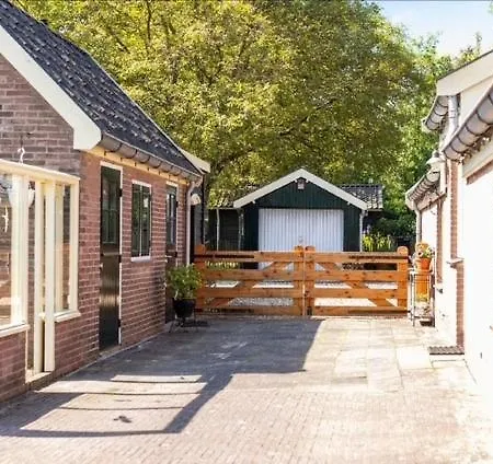 Oud-zilven *