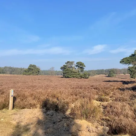 Oud-zilven * Loenen