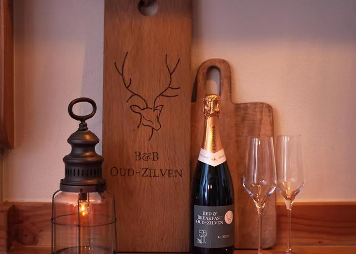 Oud-zilven Bed & Breakfast *